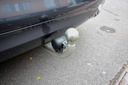 Autoscout Image 33